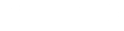 BABATUNDE, MD logo white